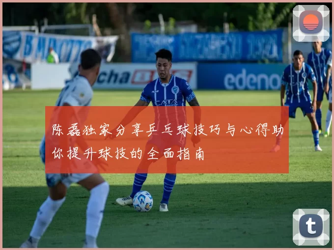 陈磊独家分享乒乓球技巧与心得助你提升球技的全面指南