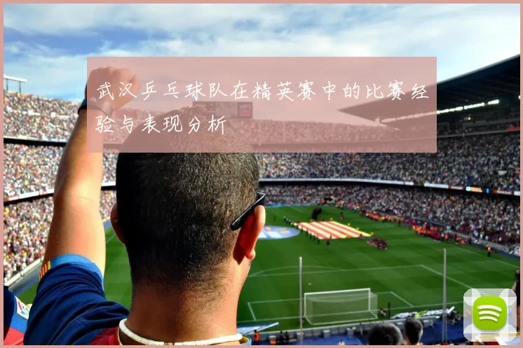 武汉乒乓球队在精英赛中的比赛经验与表现分析