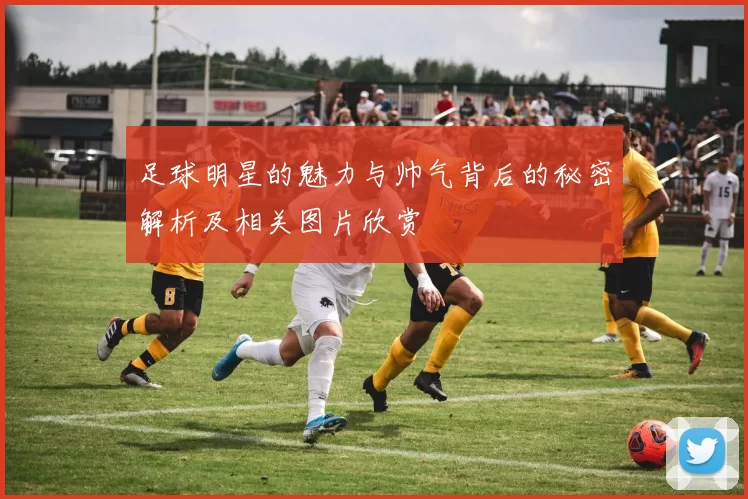 足球明星的魅力与帅气背后的秘密解析及相关图片欣赏