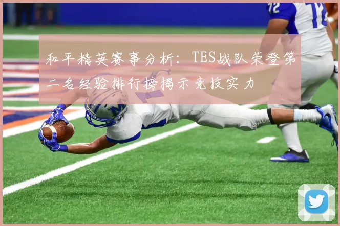 和平精英赛事分析：TES战队荣登第二名经验排行榜揭示竞技实力