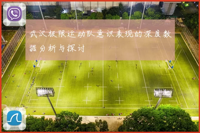 武汉极限运动队意识表现的深度数据分析与探讨