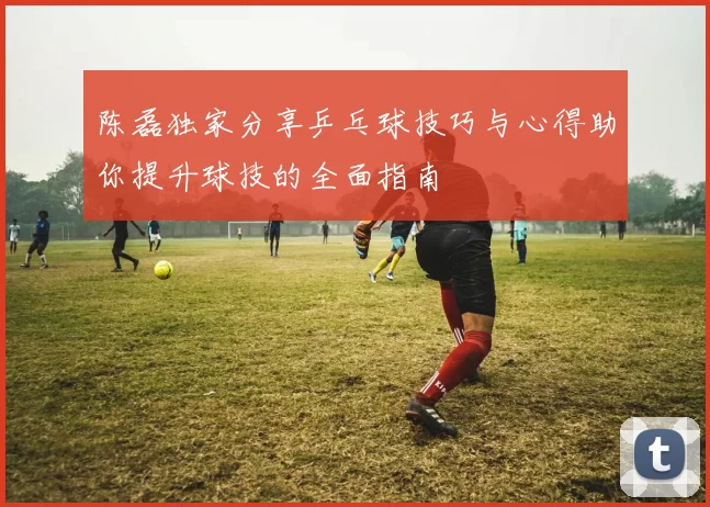 陈磊独家分享乒乓球技巧与心得助你提升球技的全面指南