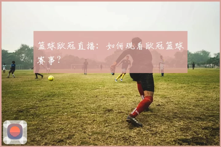 篮球欧冠直播：如何观看欧冠篮球赛事？
