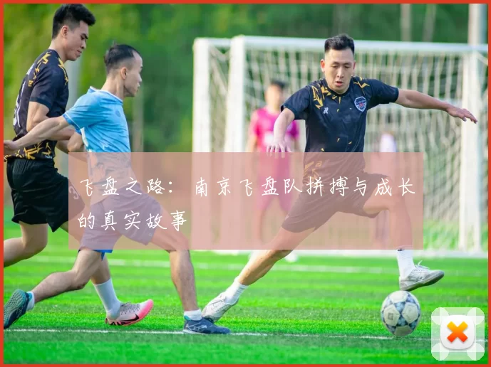 飞盘之路：南京飞盘队拼搏与成长的真实故事