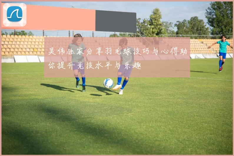 吴伟独家分享羽毛球技巧与心得助你提升竞技水平与乐趣