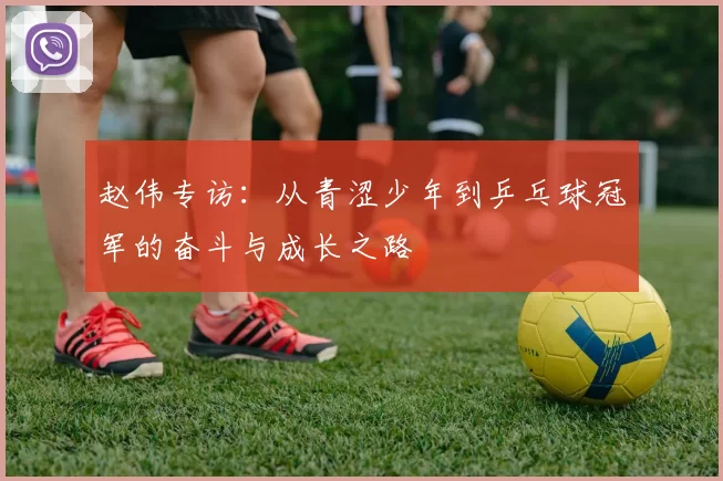 赵伟专访：从青涩少年到乒乓球冠军的奋斗与成长之路
