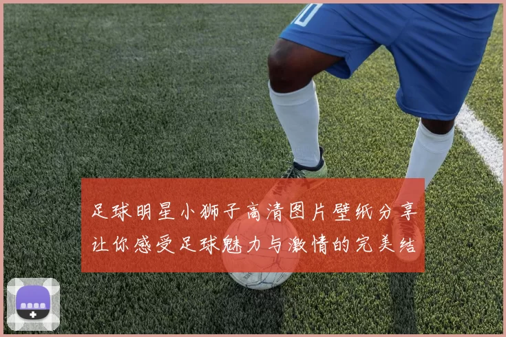足球明星小狮子高清图片壁纸分享让你感受足球魅力与激情的完美结合