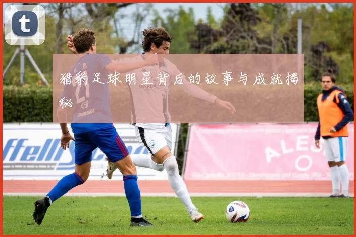 猎豹足球明星背后的故事与成就揭秘