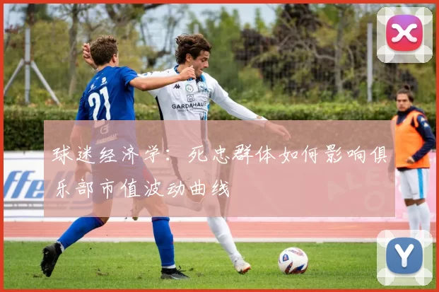 球迷经济学：死忠群体如何影响俱乐部市值波动曲线