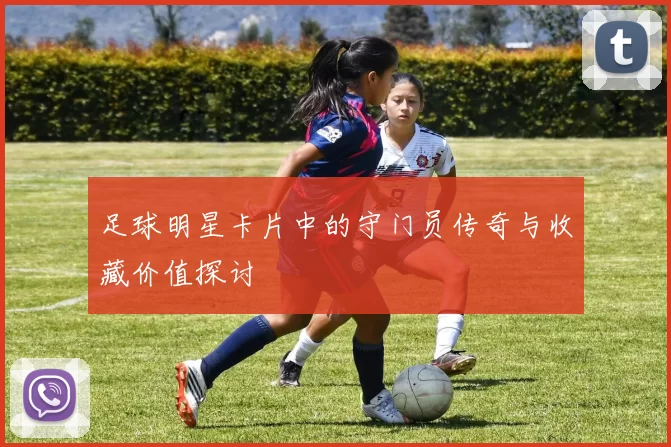 足球明星卡片中的守门员传奇与收藏价值探讨
