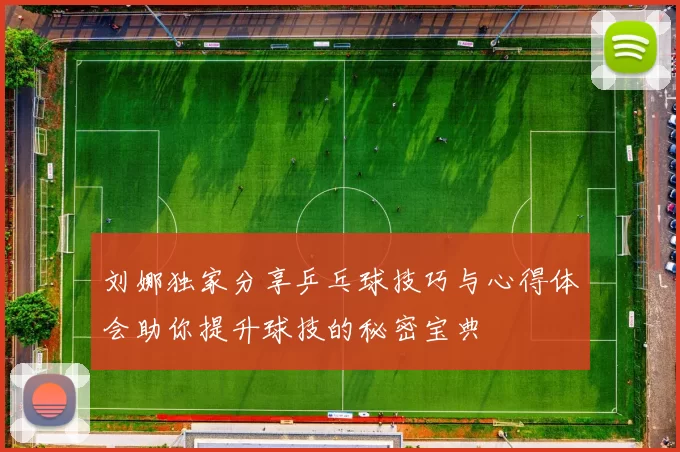 刘娜独家分享乒乓球技巧与心得体会助你提升球技的秘密宝典