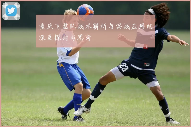 重庆飞盘队战术解析与实战应用的深度探讨与思考