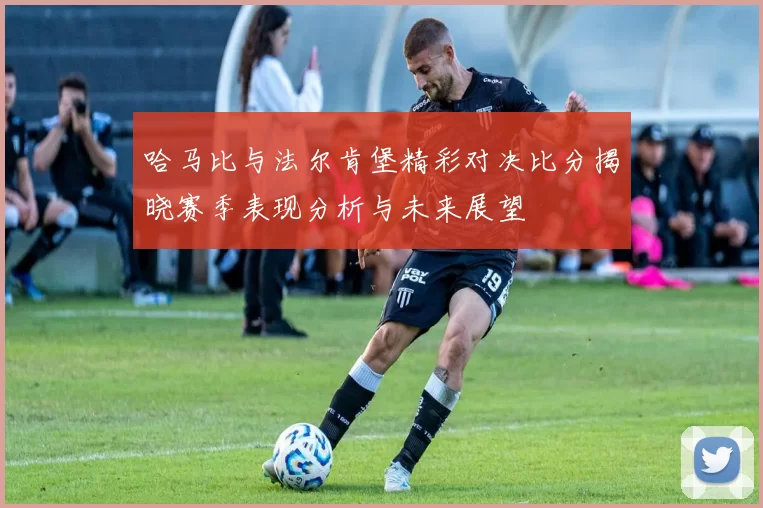 哈马比与法尔肯堡精彩对决比分揭晓赛季表现分析与未来展望