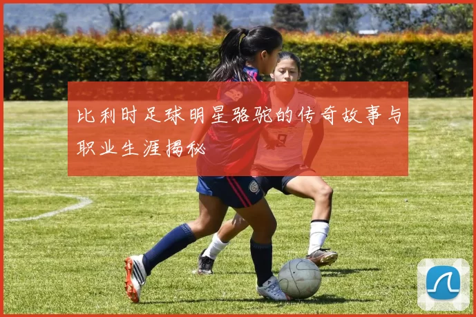 比利时足球明星骆驼的传奇故事与职业生涯揭秘