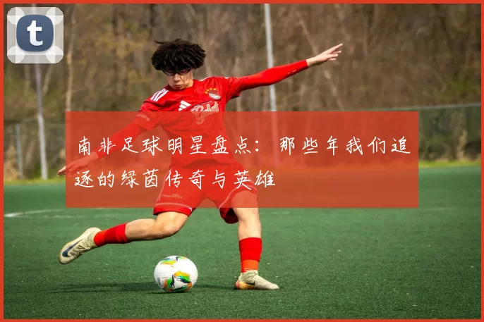 南非足球明星盘点：那些年我们追逐的绿茵传奇与英雄