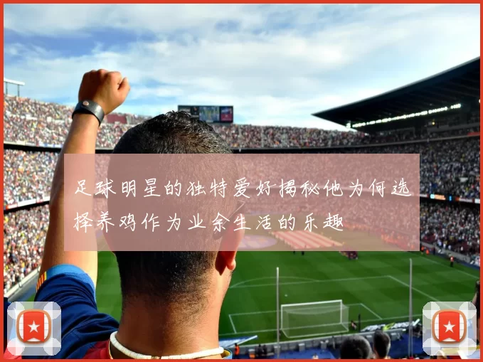 足球明星的独特爱好揭秘他为何选择养鸡作为业余生活的乐趣