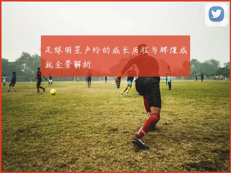 足球明星卢玲的成长历程与辉煌成就全景解析