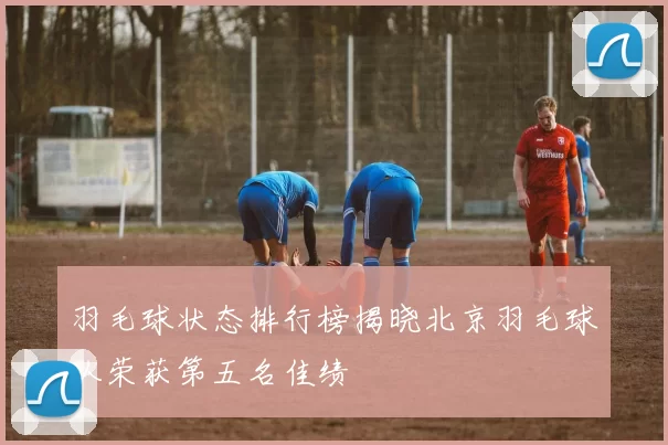 羽毛球状态排行榜揭晓北京羽毛球队荣获第五名佳绩