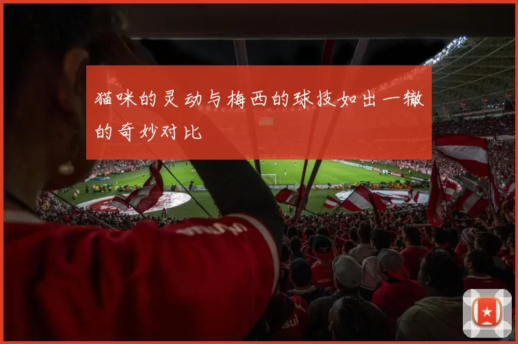 猫咪的灵动与梅西的球技如出一辙的奇妙对比