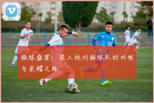 排球盛宴：深入杭州排球队的训练与荣耀之路
