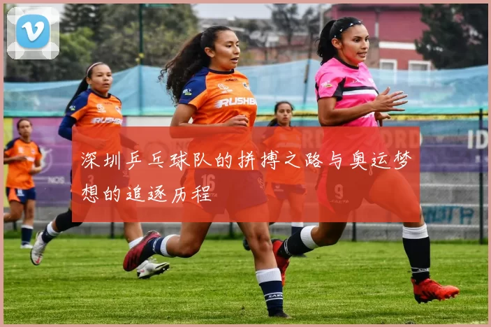深圳乒乓球队的拼搏之路与奥运梦想的追逐历程