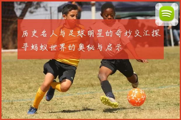 历史名人与足球明星的奇妙交汇探寻蚂蚁世界的奥秘与启示