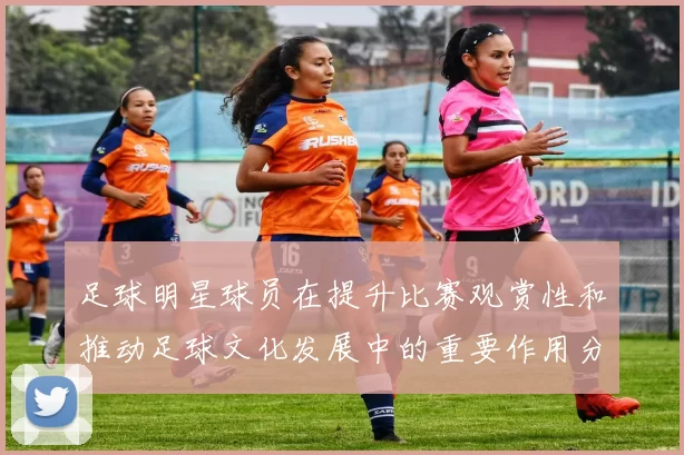 足球明星球员在提升比赛观赏性和推动足球文化发展中的重要作用分析