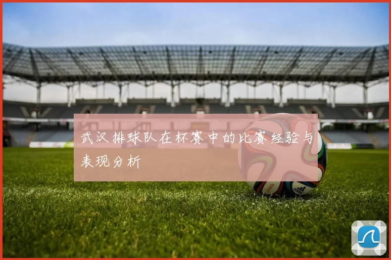 武汉排球队在杯赛中的比赛经验与表现分析