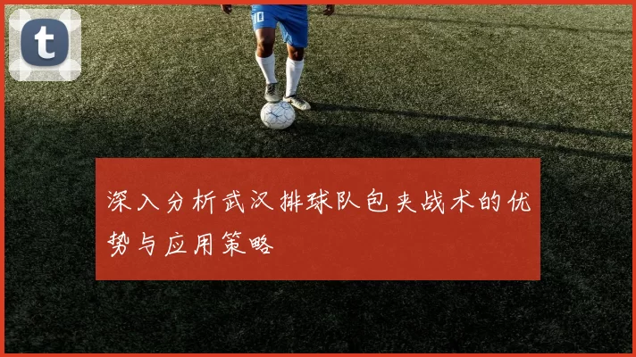 深入分析武汉排球队包夹战术的优势与应用策略