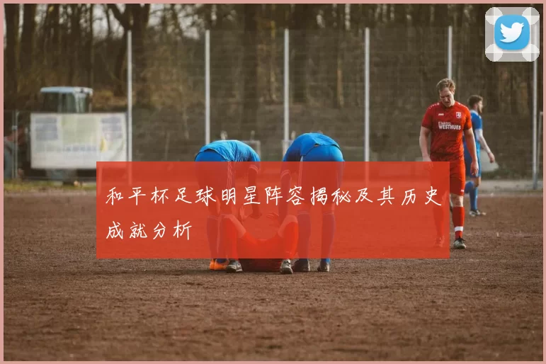 和平杯足球明星阵容揭秘及其历史成就分析