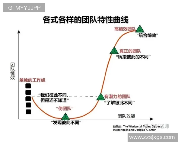 杭州排球队杯赛表现分析：个人能力与团队协作的完美结合