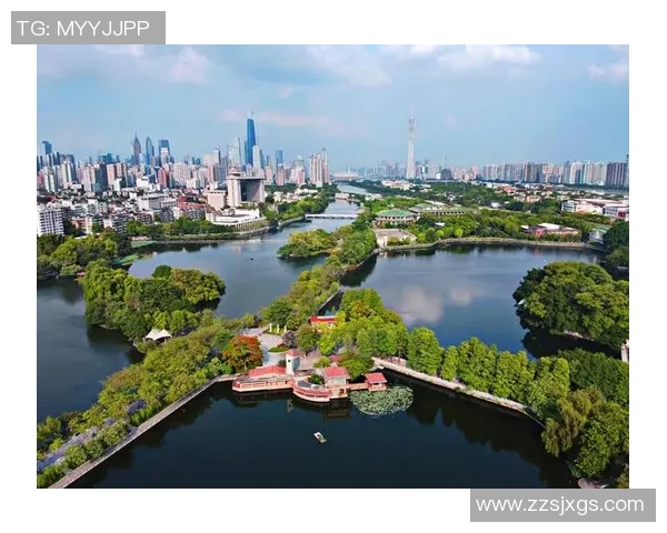 广州排球队的奋斗历程与荣耀时刻全景纪实